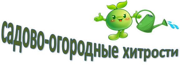 Про сад и огород